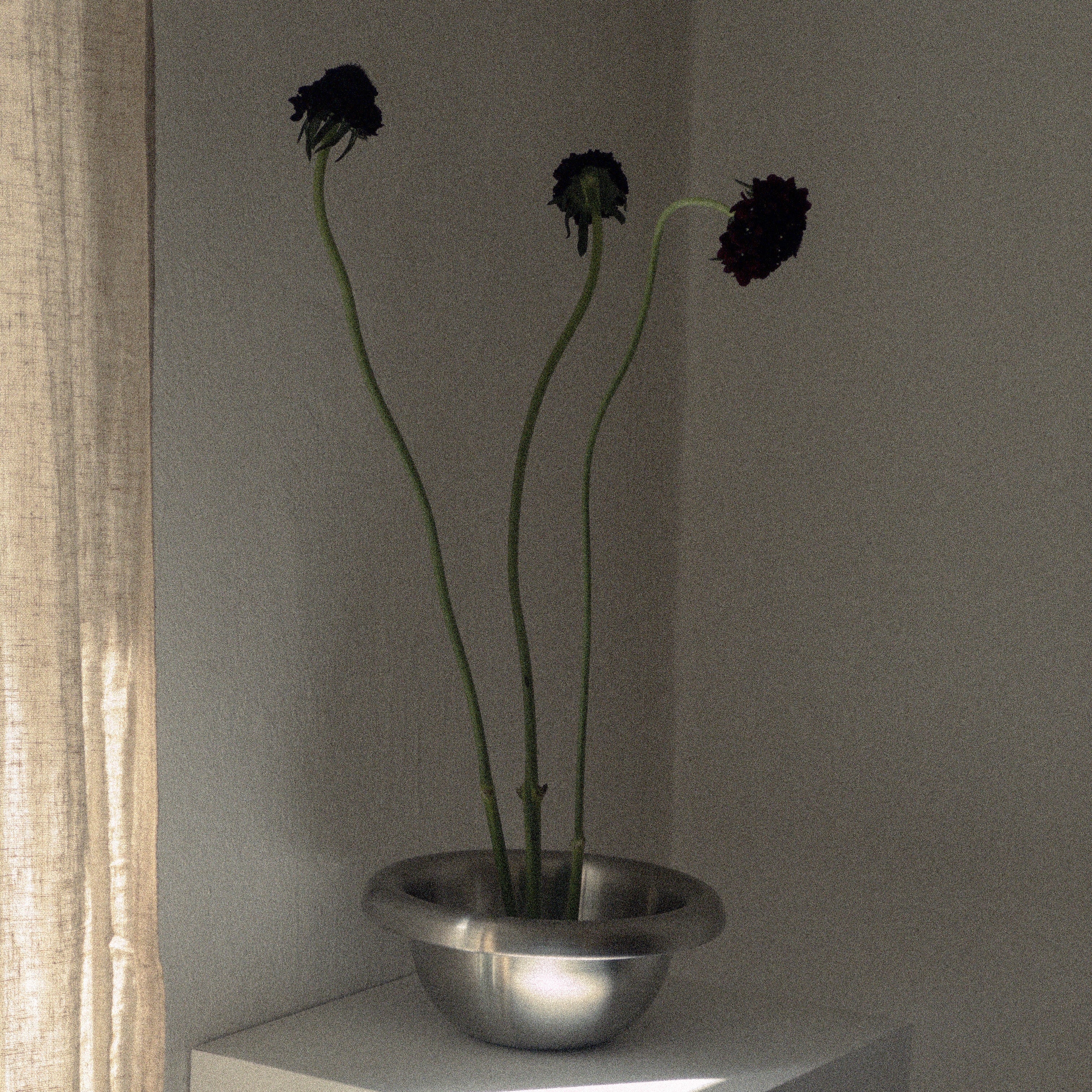 Bold Stainless Steel Bowl - Small