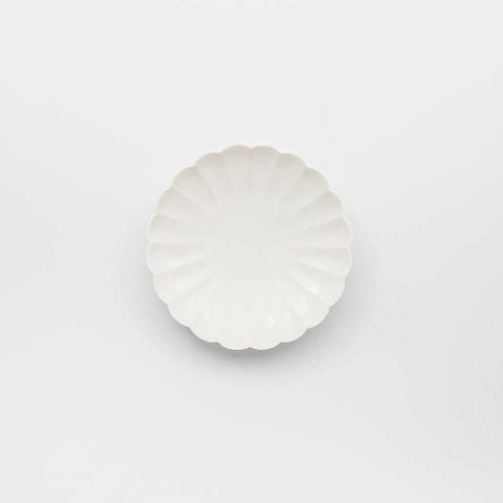 Japanese Plate Chrysanthemum - Small (XS)