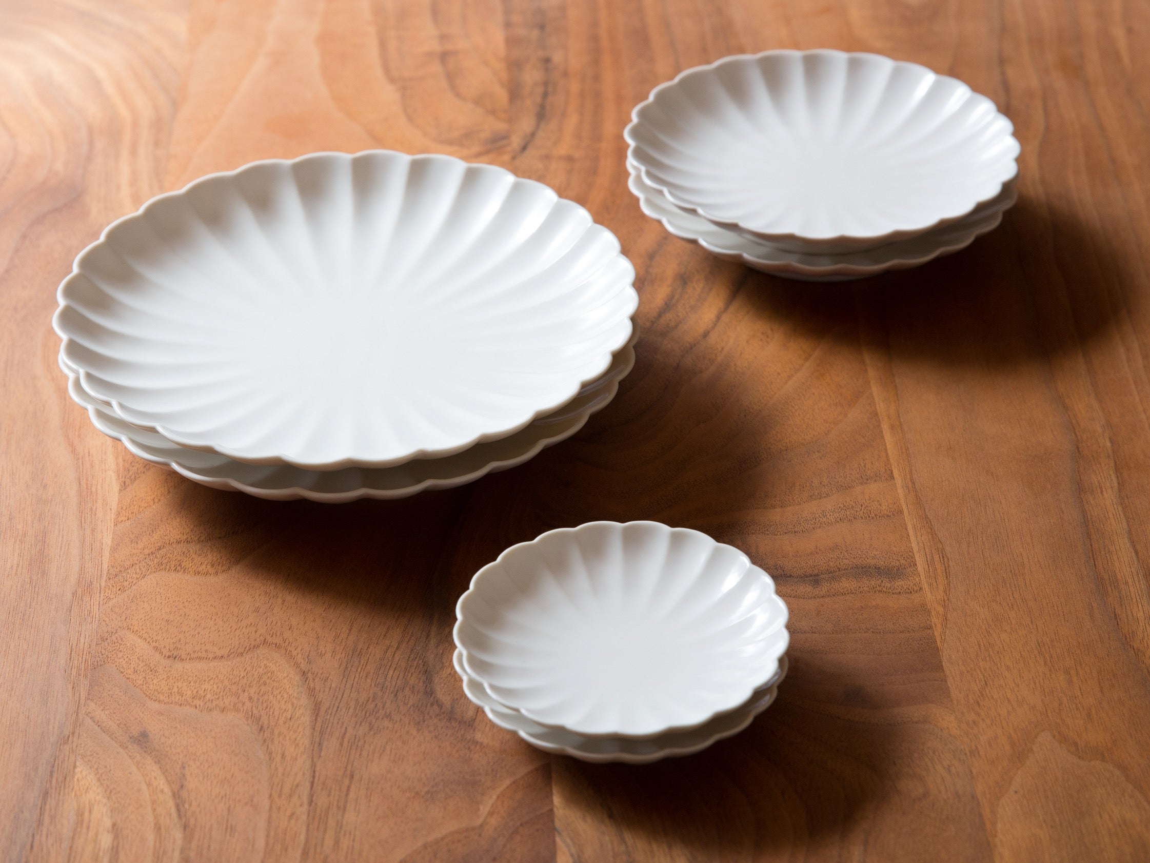 Japanese Plate Chrysanthemum - Small (XS)
