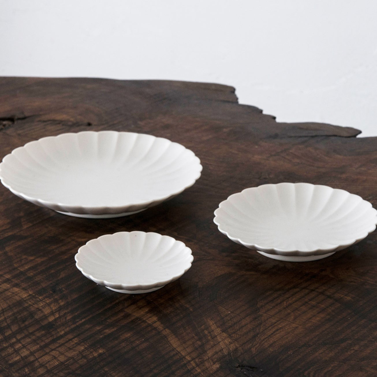 Japanese Plate Chrysanthemum - Small (XS)