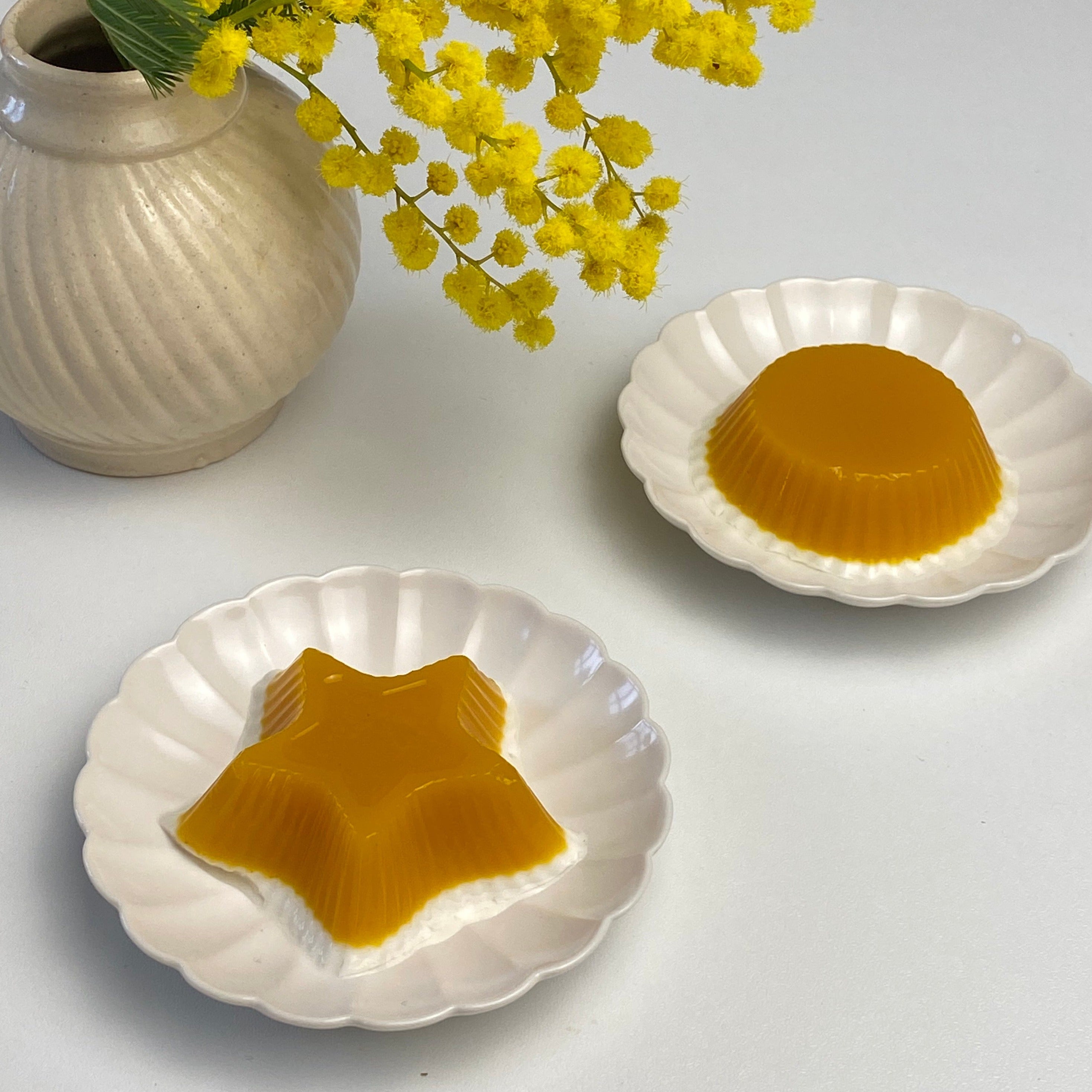 Japanese Plate Chrysanthemum - Small (XS)