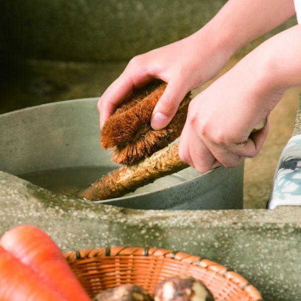 Japanische Reinigungsbürste - Groß