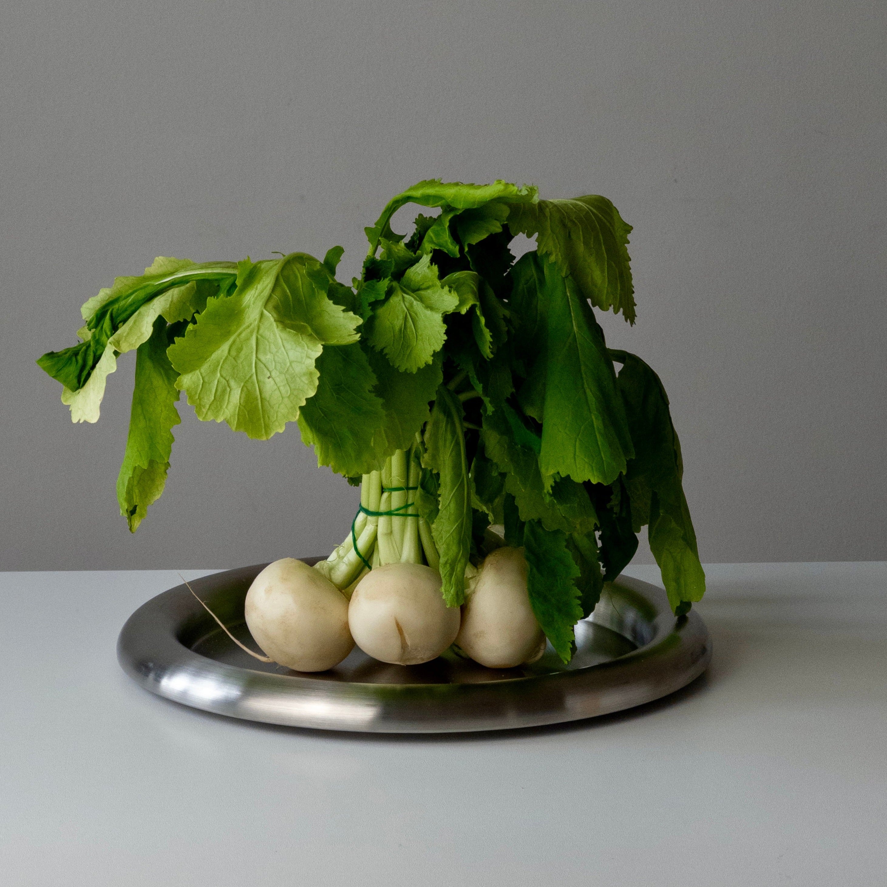 Bold Stainless Steel Tray - Large