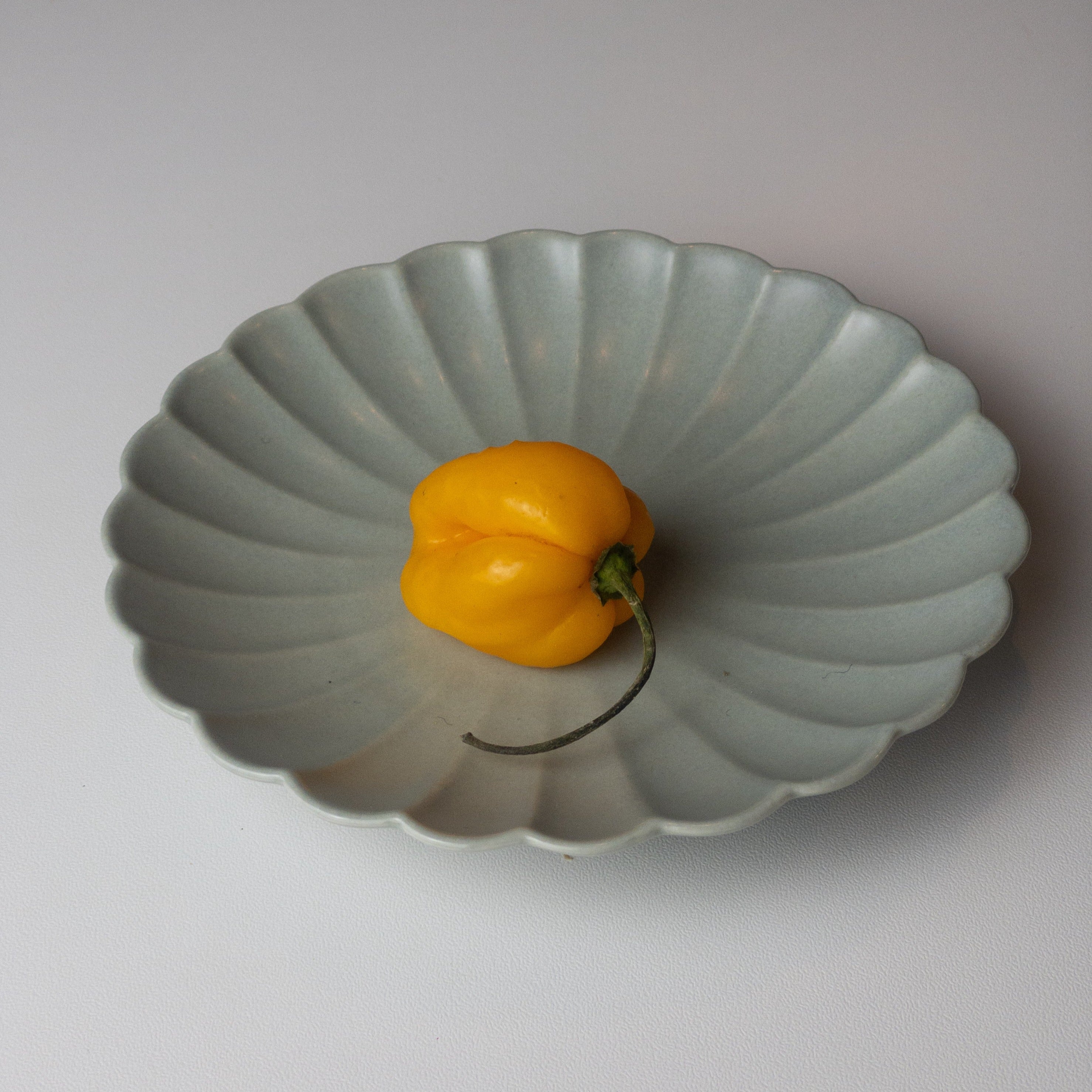 Japanese Plate Chrysanthemum - ASAGI Gray - Small (S)