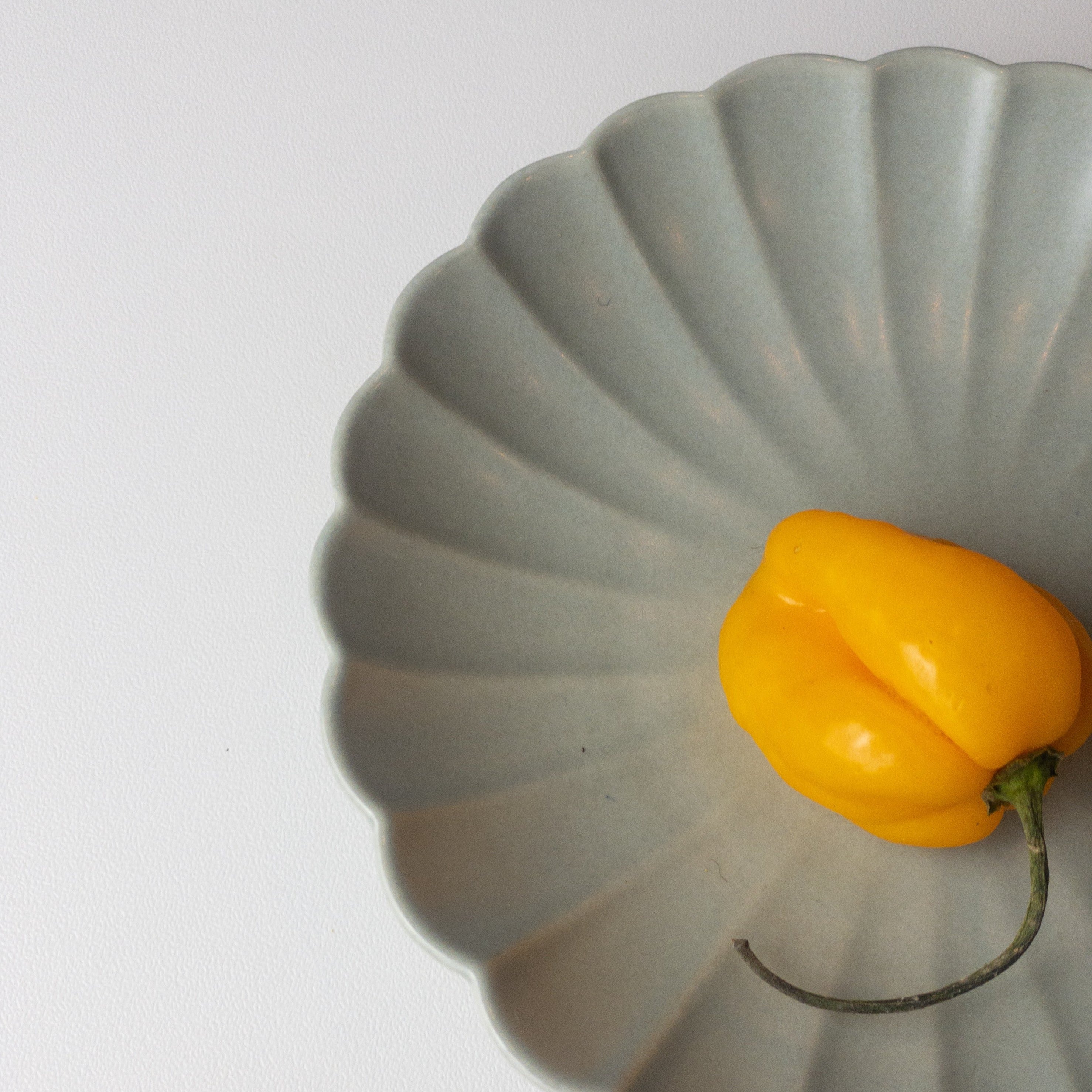 Japanese Plate Chrysanthemum - ASAGI Gray - Small (S)