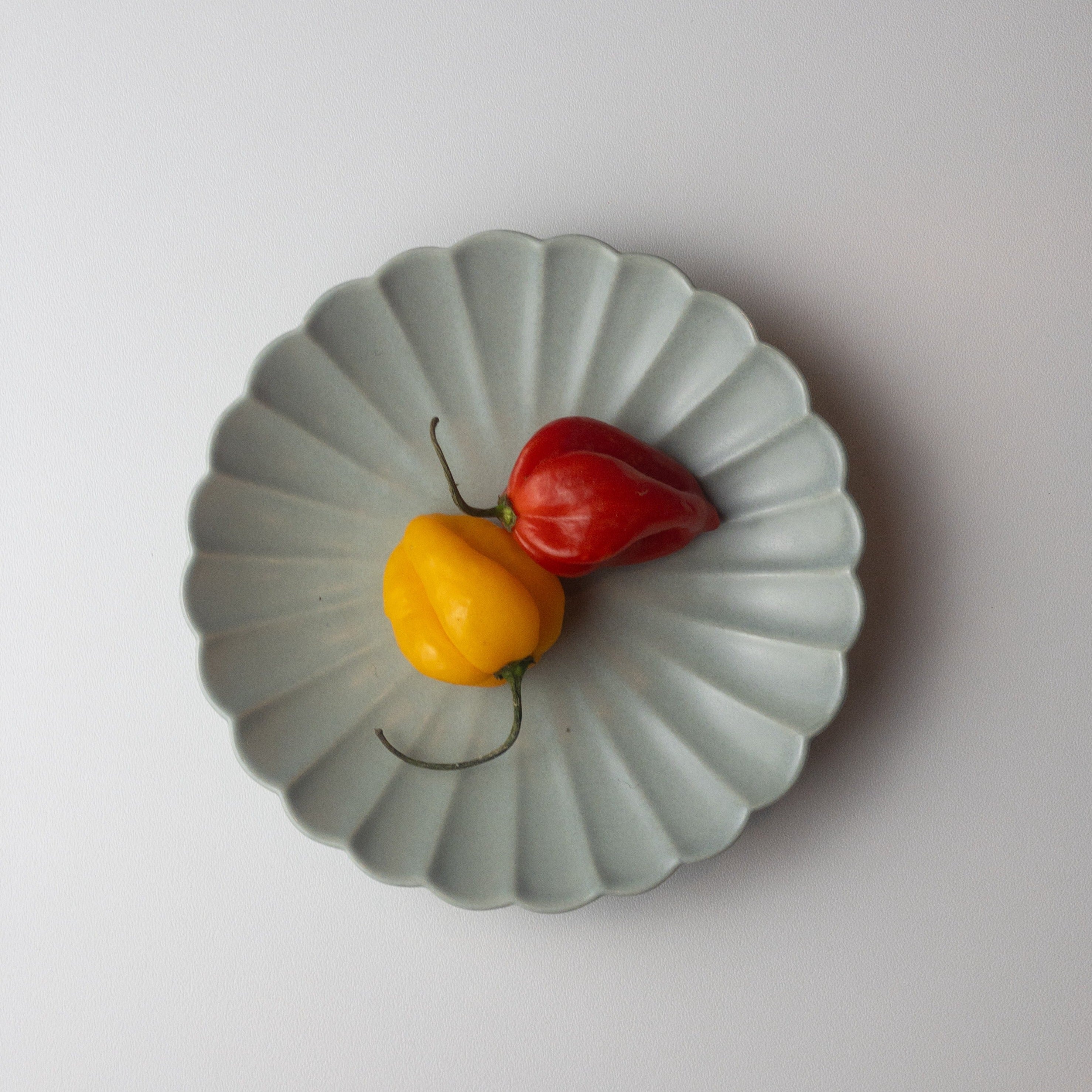 Japanese Plate Chrysanthemum - ASAGI Gray - Small (S)