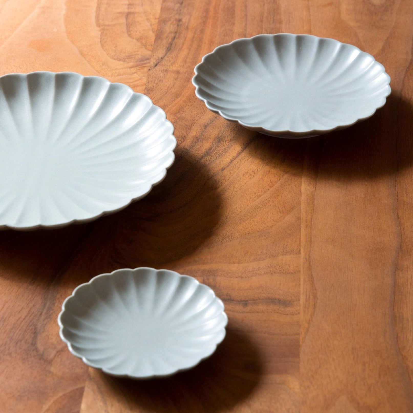 Japanese Plate Chrysanthemum - ASAGI Gray - Small (S)