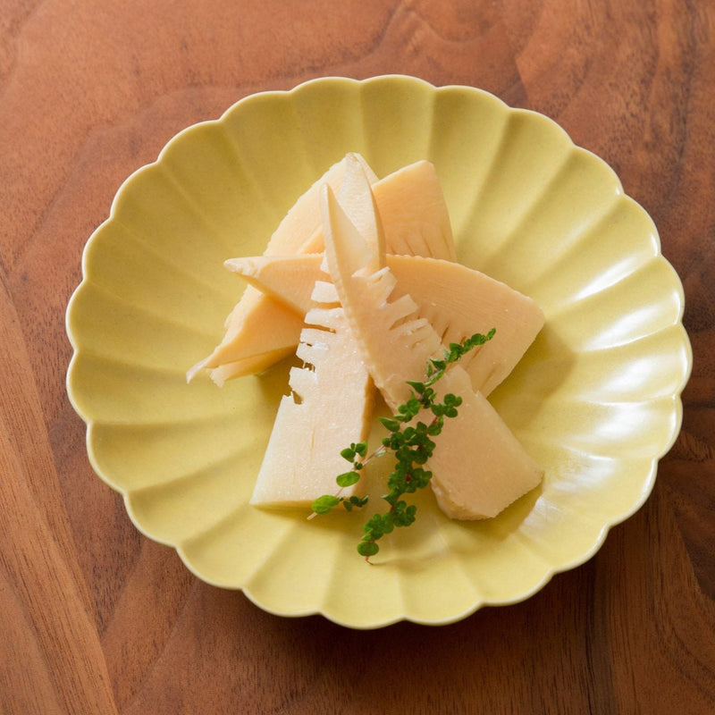 Japanese Plate Chrysanthemum Naba Yellow - Small (XS)