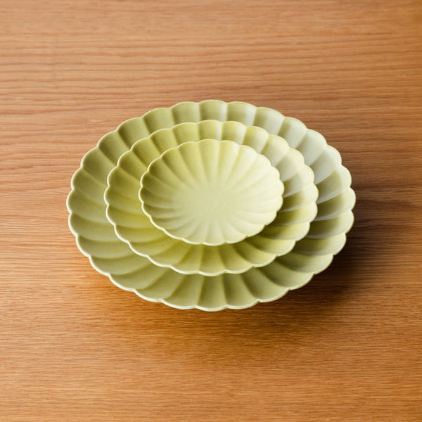 Japanese Plate Chrysanthemum Naba Yellow - Small (XS)