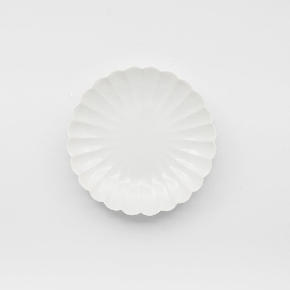 Japanese Plate Chrysanthemum - Small (S)
