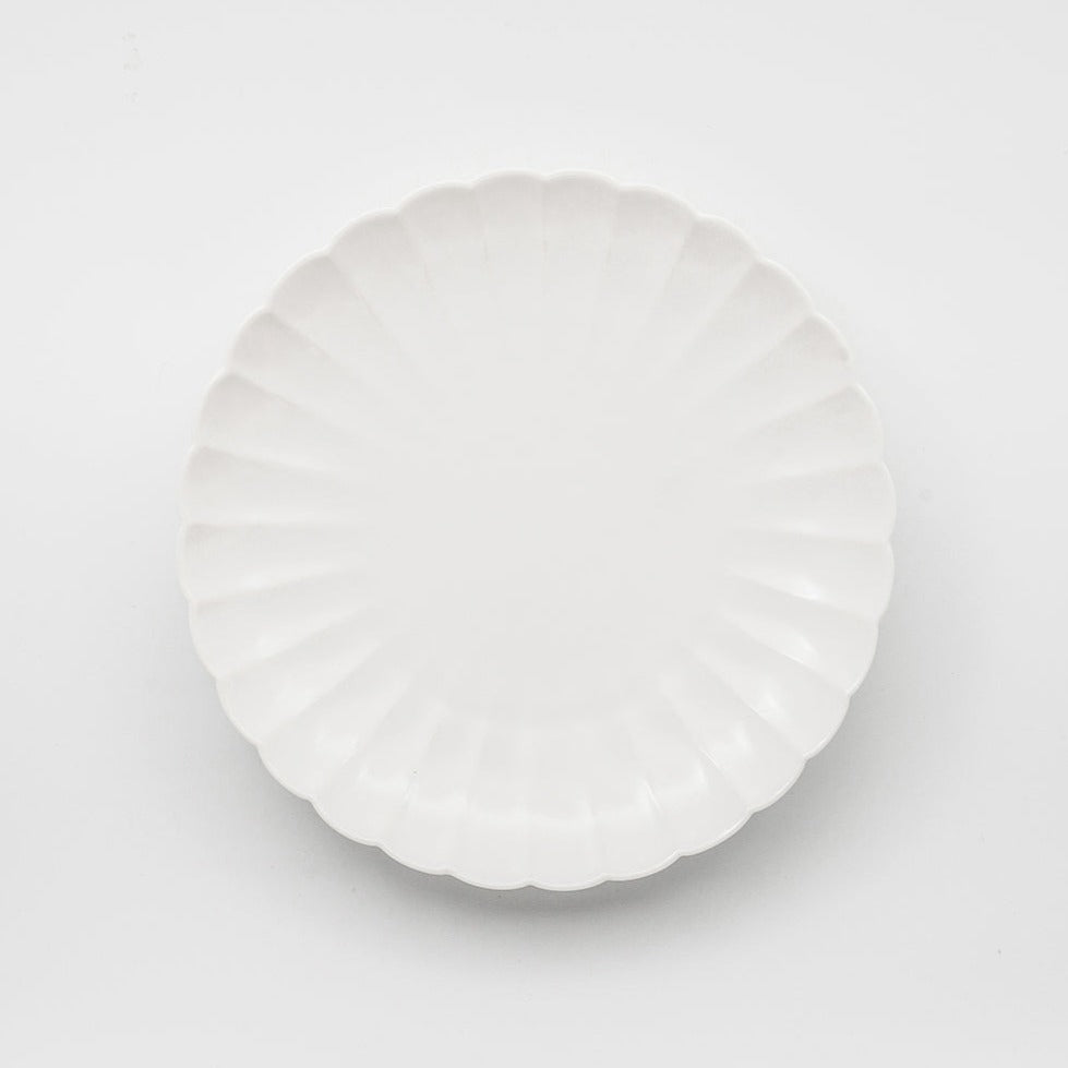 Japanese Plate Chrysanthemum - Large (M)