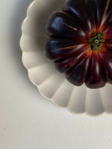 Japanese Plate Chrysanthemum - Small (S)